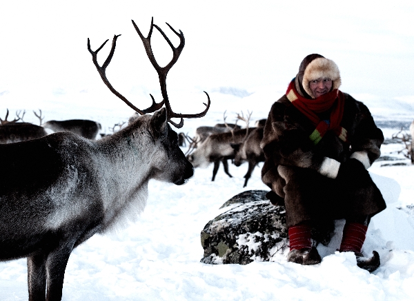 Besøk hos samisk reindriftsutøvere
